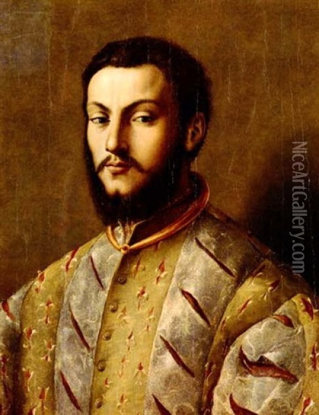 Portrait Of A Young Nobleman Oil Painting -  Bronzino