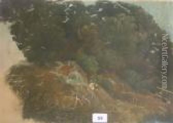 Paysage De Cascade Oil Painting - Pierre-Henri de Valenciennes