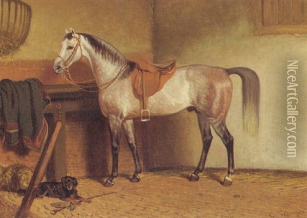 A Saddled Grey Horse In A Stable Oil Painting - Cornelis Albert Johannes Schermer