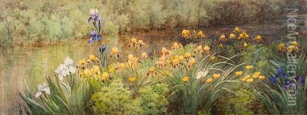 Irises Along The River Oil Painting - Fidelia Bridges