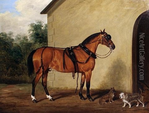 A Carriage Horse With Two Terriers In A Yard Oil Painting - James (of Bath) Loder