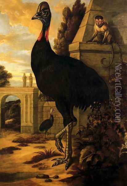 A Cassowary Oil Painting - Francis Barlow