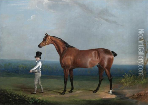 The Favourite Bay Hunter Of 
William Hatfield De Rodes Of Chesterfield Held By A Stable Boy Oil Painting - John Frederick Herring Snr