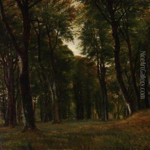 Forest Scene With Tall Trees Oil Painting - P. C. Skovgaard