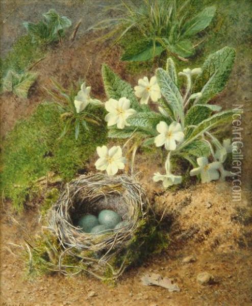 Still Life Withprimroses And A Bird's Nest Oil Painting - Marian Emma Chase
