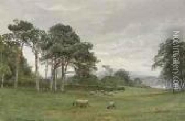 Sheep In Pasture Oil Painting - William Trost Richards