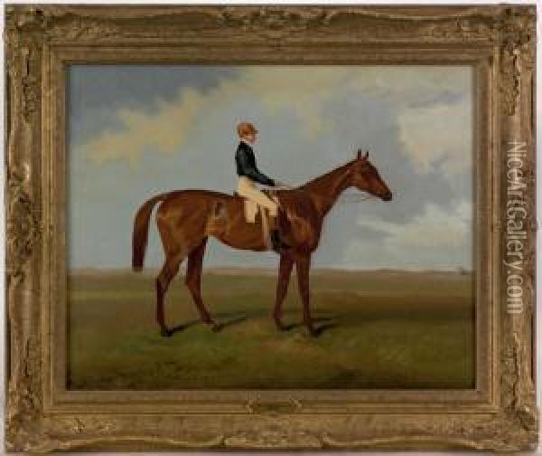 Horse And Jockey Oil Painting - Marshall Wood