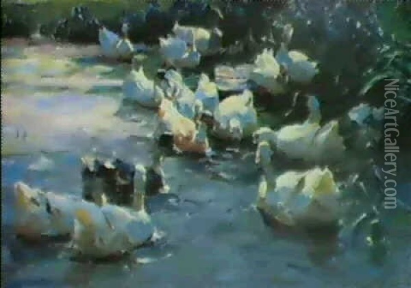 Sechzehn Enten Im Schifwasser Oil Painting - Alexander Max Koester