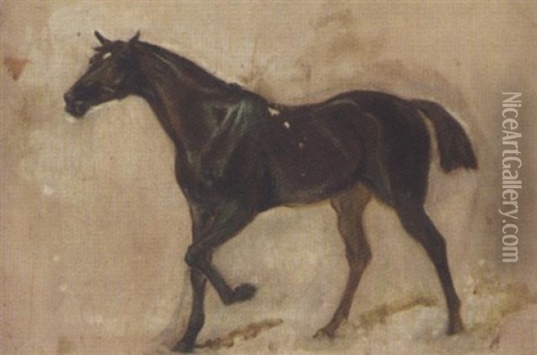 Sketch Of A Horse Oil Painting - James Lynwood Palmer