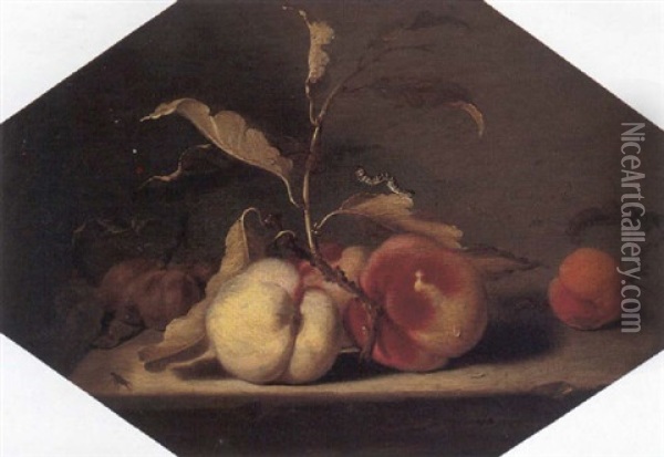 A Still Life Of Peaches, Plums And One Apricot Arranged Upon A Stone Ledge Oil Painting - Jacob Frans van der Merck
