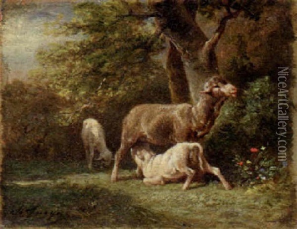 Sheep Attending Her Young Oil Painting - Emile Jacque