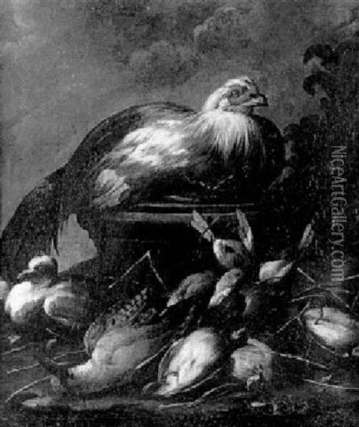 Nature Morte Au Coq Et Oiseaux Sauvages Oil Painting - Baldassare De Caro