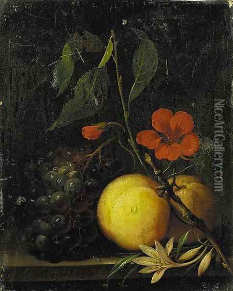 Grapes, peaches and a nasturtium, with a moth on a ledge Oil Painting - Johann Nepomuk Mayerhofer