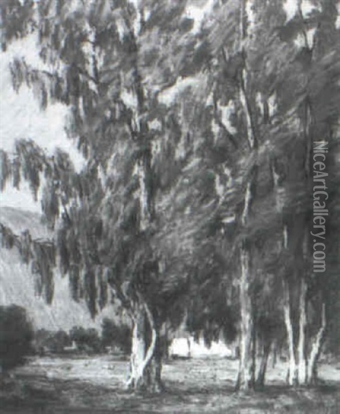 Landscape With Eucalyptus Trees Oil Painting - Alta West Salisbury