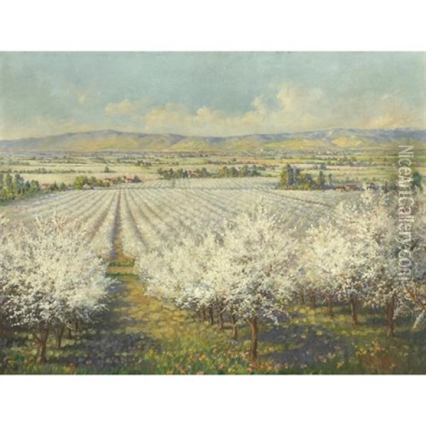 A View Of Blossom Valley With The City Of San Jose In The Distance Oil Painting - Frank B. Standish
