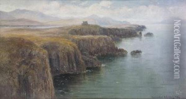 The Green Isle Of Erin Oil Painting - Alexander Williams