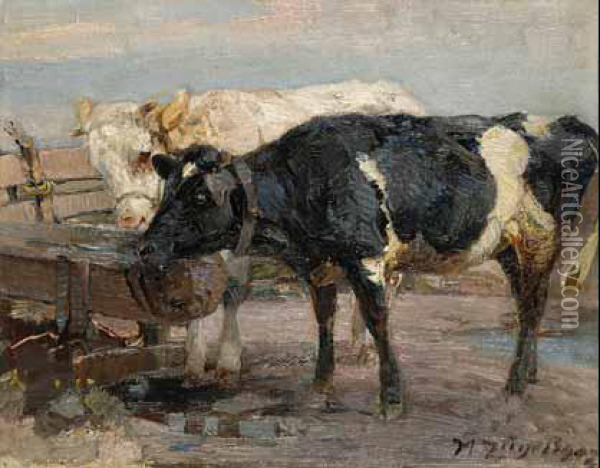 Zwei Kuhe An Der Tranke. Oil Painting - Heinrich Johann Von Zugel