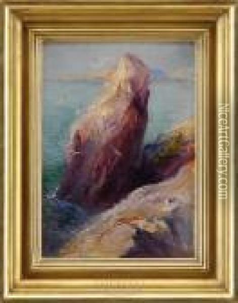 Gull Rock Oil Painting - Arthur Vidal Diehl