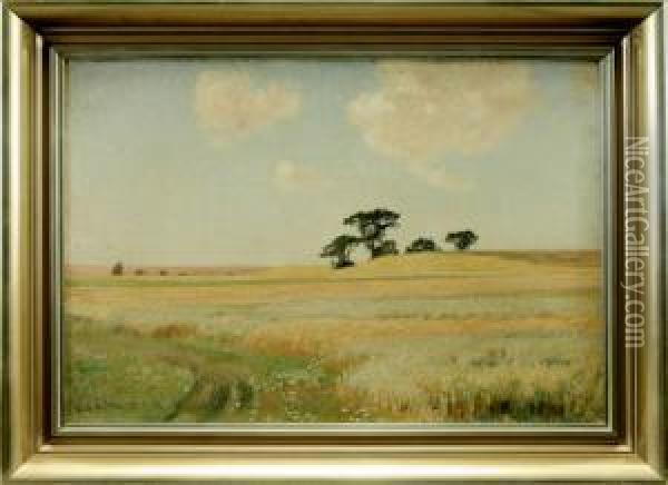 Weitemecklenburgische Landschaft Mit Kornfeld Unter Hohemsommerhimmel Oil Painting - Franz Bunke