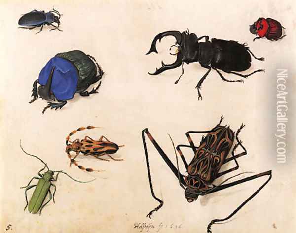 Beetles Oil Painting - Pieter The Elder Holsteyn