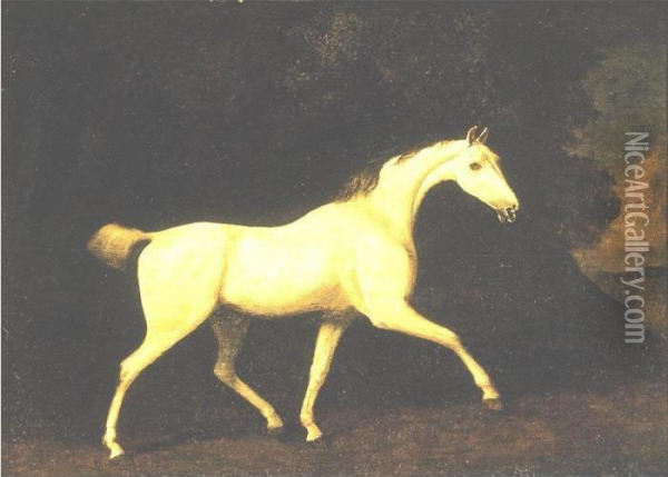 Lord Westmoreland's Grey Hunter In A Landscape Oil Painting - George Stubbs