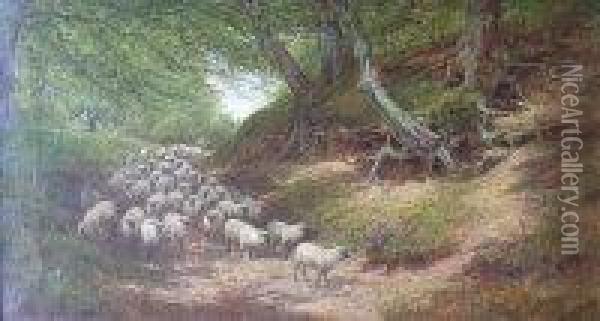 A Shepherd With His Flock On A Sunlit Woodland Track Oil Painting - William Luker