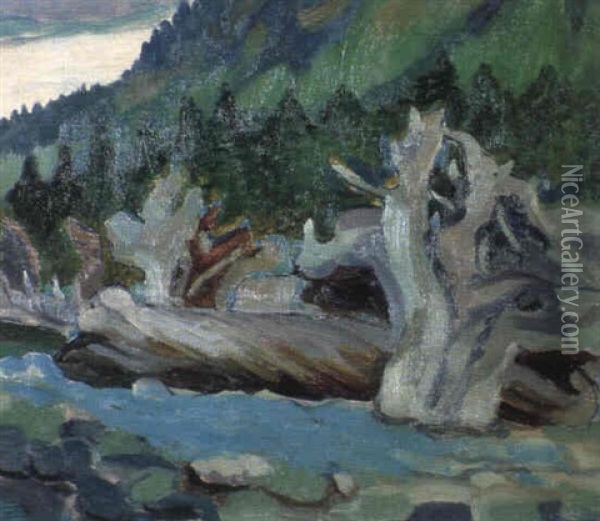 Old Stumps, Cordova Bay Oil Painting - Emily Carr
