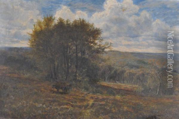 Ponies In The New Forest Oil Painting - Alfred Benjamin Cole