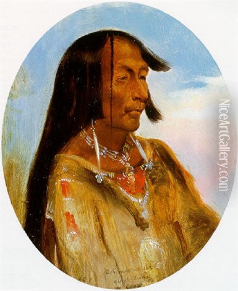 Schim-a-co-che, Crow Chief Oil Painting - Alfred Jacob Miller