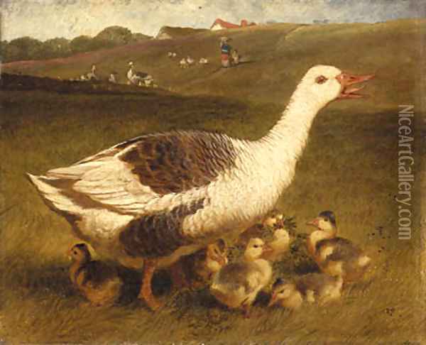A Goose and Goslings Oil Painting - John Frederick Herring Snr