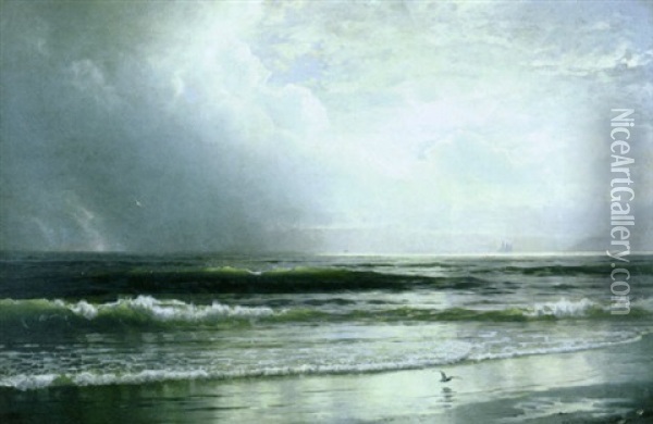 Birds Soaring Off The Coast Oil Painting - William Trost Richards