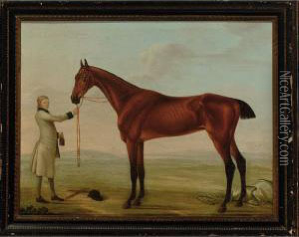 Groom With A Race Horse Oil Painting - William Shaw