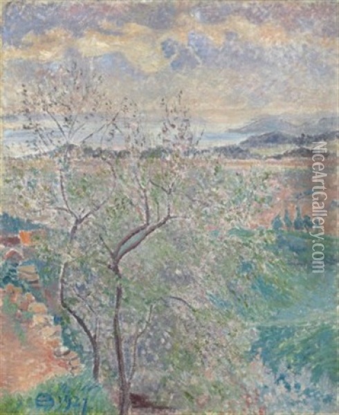 L'amandier De L'averne, Bormes Oil Painting - Lucien Pissarro