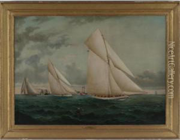 The Atlantic Cup Race Oil Painting - William Gay Yorke