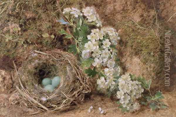 May Blossom and a Hedge Sparrows Nest Oil Painting - William Henry Hunt