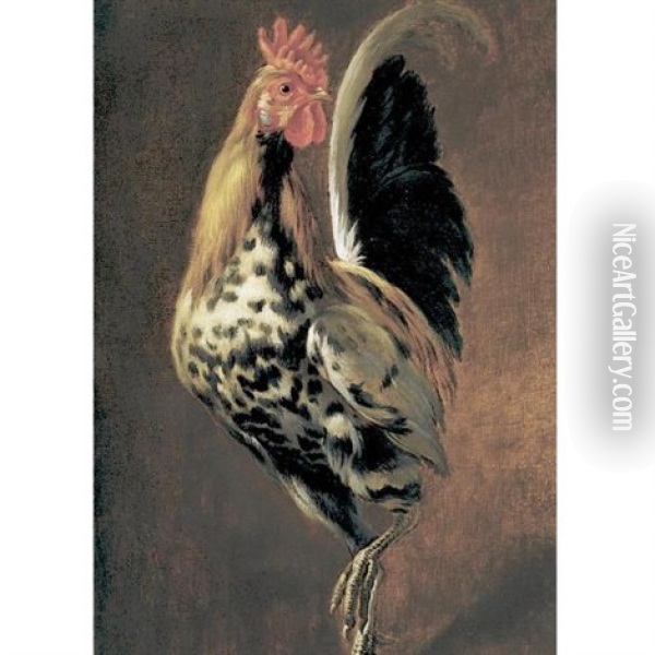 A Rooster Oil Painting - Pieter Boel