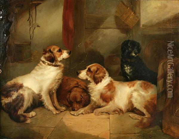 Four Dogs In A Kennel Oil Painting - George Armfield
