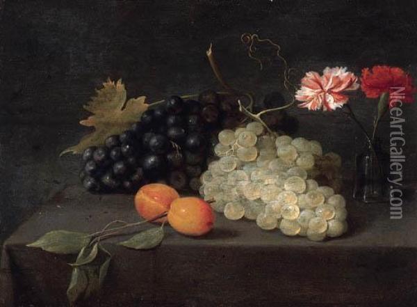 Plums, Grapes And A Vase Of Carnations On A Draped Table Oil Painting - Jacob Fopsen van Es