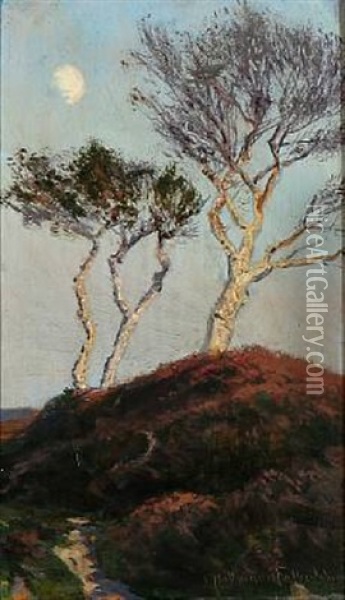 Heather Landscape With Birch Trees Oil Painting - Franz Hoffmann-Fallersleben