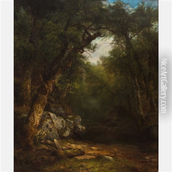 The Butternut Tree, Study From Nature, Lake George, New York Oil Painting - Asher Brown Durand