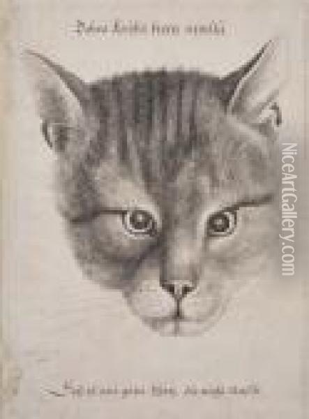 Head Of A Cat Oil Painting - Wenceslaus Hollar
