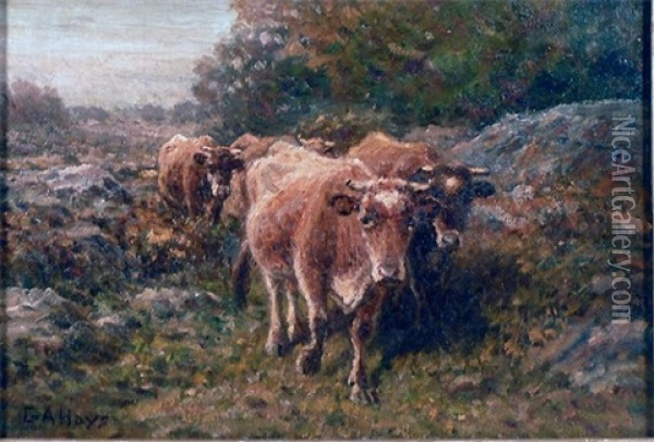 Jerseys In Pasture Oil Painting - George Arthur Hays