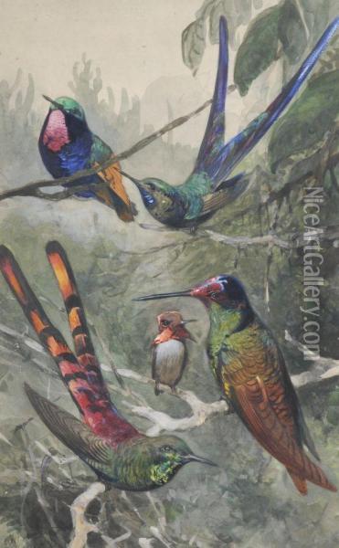 Humming Birds Oil Painting - Wilhelm Kuhnert