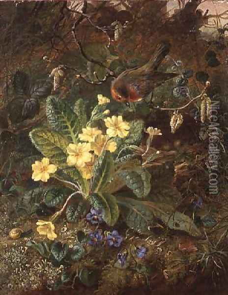 Primrose and Robin Oil Painting - William John Wainwright