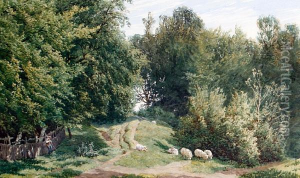 Wooded Landscape Oil Painting - Charles Grant Davidson