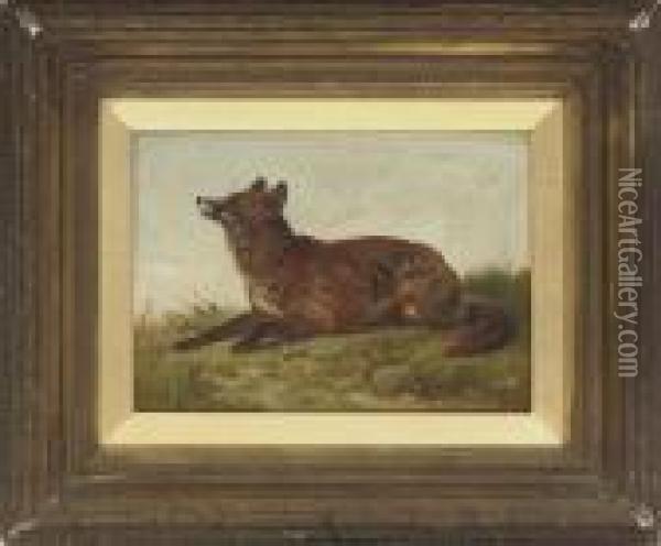 A Fox In A Landscape Oil Painting - Charles Jones