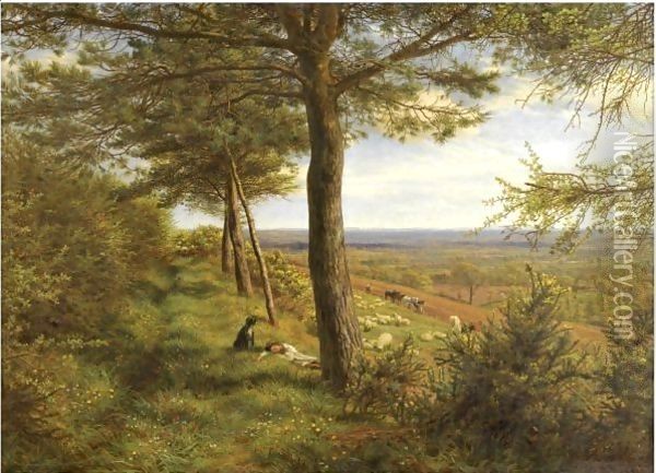 Firs And Furze Oil Painting - James Thomas Linnell
