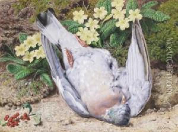 Still Life Of A Pigeon With Primroses On A Mossy Bank Oil Painting - John Sherrin