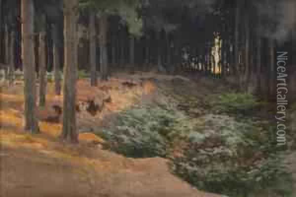 Woodland Pathway With Sunset In The Distance Oil Painting - Ernest William Haslehurst