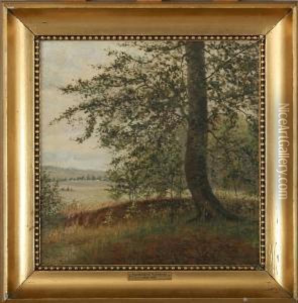 The Edge Of A Forest. Signed Richardt Oil Painting - Ferdinand Reichardt